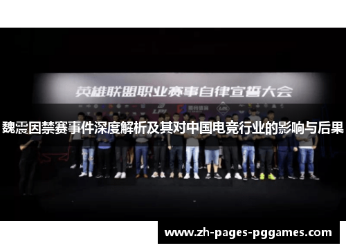 魏震因禁赛事件深度解析及其对中国电竞行业的影响与后果